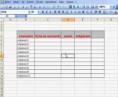 /album/evolucion-de-la-web/formato-excel-2007-tutorial-basico-29942-1-4787-jpg/