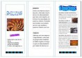 /album/folletos/folleto-110614201145-phpapp02-thumbnail-4-jpg/